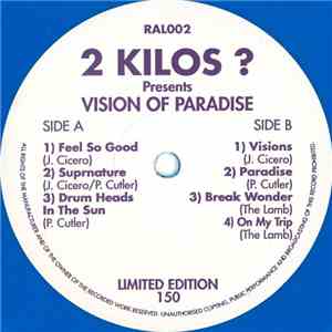 2 Kilos ? - Vision Of Paradise download mp3 flac