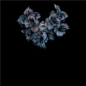 A Lot Like Birds - Divisi download mp3 flac
