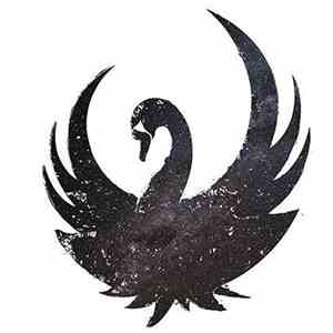 A★I - Le Chant Du Cygne Noir download mp3 flac