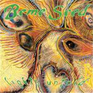 Beme Seed - Lights Unfold download mp3 flac