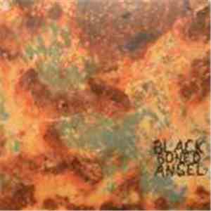 Black Boned Angel - The Witch Must Be Killed download free Black Boned Angel - The Witch Must Be Killed download mp3 flac