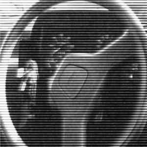 Crash At Every Speed - Pedestrian X-ing download mp3 flac