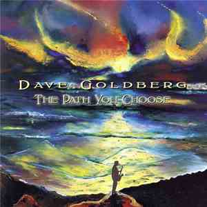 Dave Goldberg  - The Path You Choose download mp3 flac