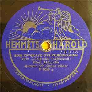 Evert Ahlander - Som En Trast Uti Furuskogen / Sackeus download free