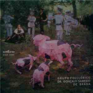 Grupo Folclórico Dr. Gonçalo Sampaio De Braga - Grupo Folclórico Dr. Gonçalo Sampaio De Braga download mp3 flac