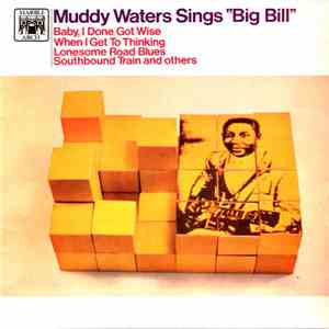 Muddy Waters - Muddy Waters Sings "Big Bill" download mp3 flac