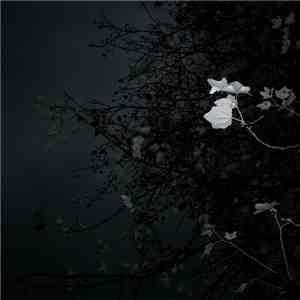 Olga Shaydullina & Stanislav Vdovin - Sirenes download free Olga Shaydullina & Stanislav Vdovin - Sirenes download mp3 flac