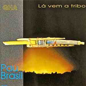 Pau Brasil - Lá Vem A Tribo download mp3 flac