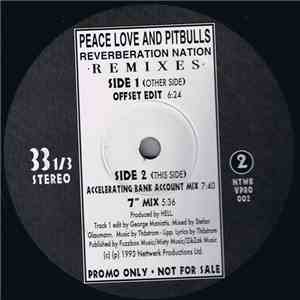 Peace, Love And Pitbulls - Reverberation Nation download free Peace, Love And Pitbulls - Reverberation Nation download mp3 flac