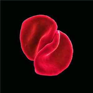 Peter Gabriel - Scratch My Back download free Peter Gabriel - Scratch My Back download mp3 flac