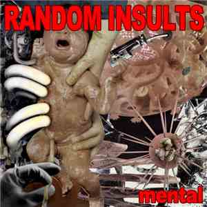 Random Insults - Mental download mp3 flac
