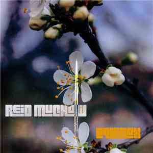 Reid Muchow - Equinox download free