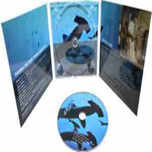 Roli Fiechter - Vertiklang download free Roli Fiechter - Vertiklang download mp3 flac