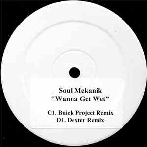 Soul Mekanik - Wanna Get Wet download mp3 flac