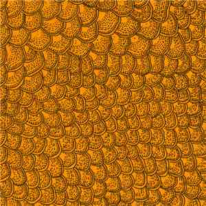 Swimsuit Addition, Bloom - Split download free Swimsuit Addition, Bloom - Split download mp3 flac
