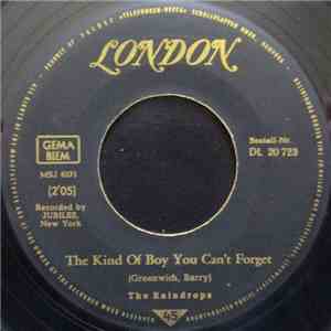 The Raindrops - The Kind Of Boy You Can't Forget / Even Though You Can't Dance download mp3 flac
