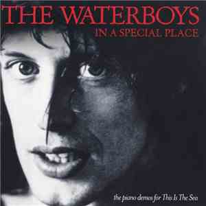 The Waterboys - In A Special Place download mp3 flac