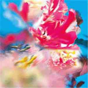 The Young Gods - Lucidogen download free The Young Gods - Lucidogen download mp3 flac