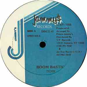 Tiger - Boom Bastic download mp3 flac
