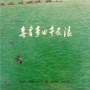 Various - 民族器乐曲：喜看麦田千层浪 = Wave Upon Wave Of Golden Wheat - Folk Instrumentals download free