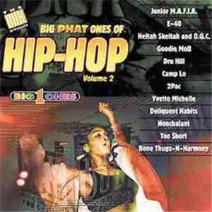 Various - Big Phat Ones Of Hip-Hop, Volume 2 download free