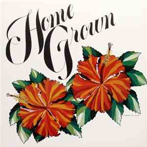 Various - Home Grown II download mp3 flac