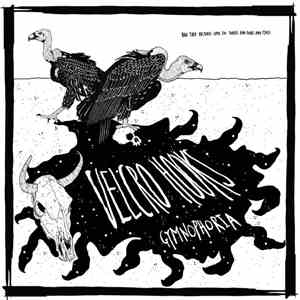 Velcro Hooks - Gymnophoria download free Velcro Hooks - Gymnophoria download mp3 flac