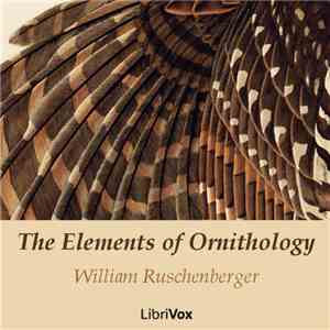 William Ruschenberger - The Elements Of Ornithology download free William Ruschenberger - The Elements Of Ornithology download mp3 flac