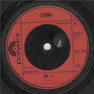 Zzebra - Mr. J. download free